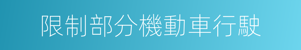 限制部分機動車行駛的同義詞