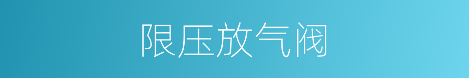 限压放气阀的同义词