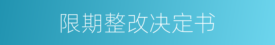 限期整改决定书的同义词