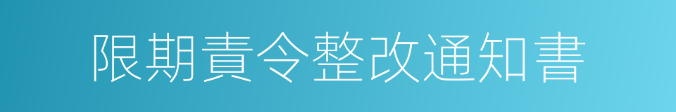 限期責令整改通知書的同義詞