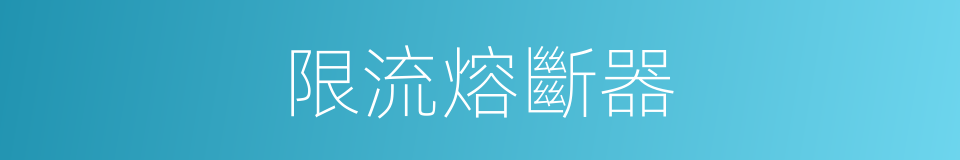 限流熔斷器的同義詞