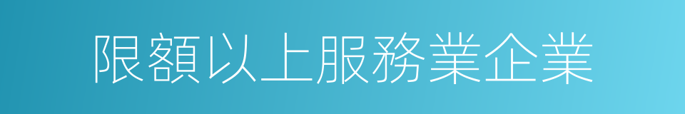 限額以上服務業企業的同義詞