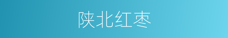 陕北红枣的同义词