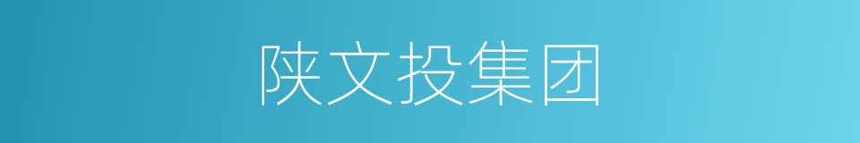 陕文投集团的同义词