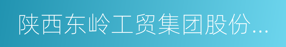 陕西东岭工贸集团股份有限公司的同义词