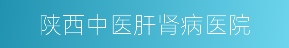 陕西中医肝肾病医院的同义词