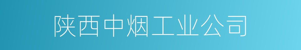 陕西中烟工业公司的同义词