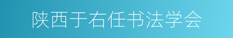 陕西于右任书法学会的同义词