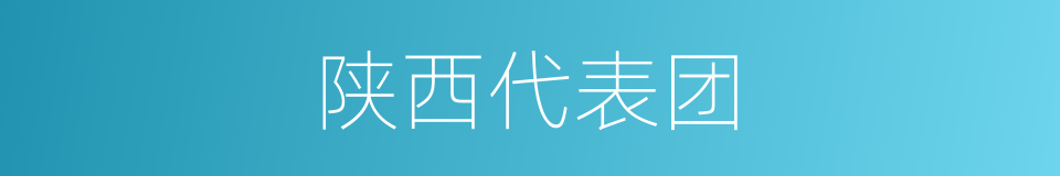 陕西代表团的同义词