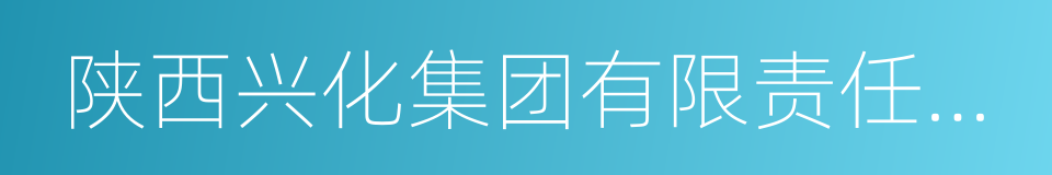 陕西兴化集团有限责任公司的同义词