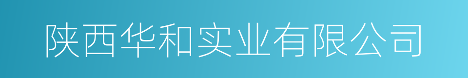 陕西华和实业有限公司的同义词