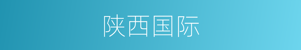 陕西国际的同义词