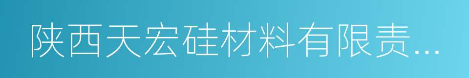 陕西天宏硅材料有限责任公司的同义词