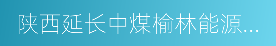 陕西延长中煤榆林能源化工有限公司的同义词