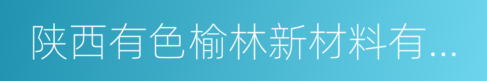 陕西有色榆林新材料有限责任公司的同义词