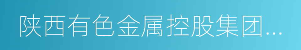 陕西有色金属控股集团有限责任公司的同义词