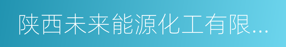 陕西未来能源化工有限公司的同义词