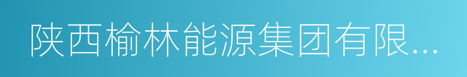 陕西榆林能源集团有限公司的同义词