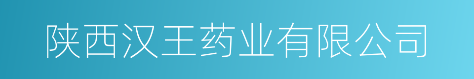 陕西汉王药业有限公司的同义词