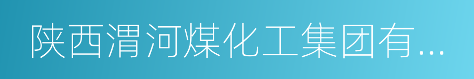 陕西渭河煤化工集团有限责任公司的同义词