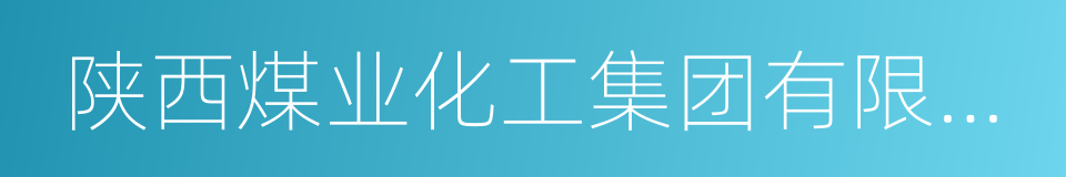 陕西煤业化工集团有限责任公司的同义词