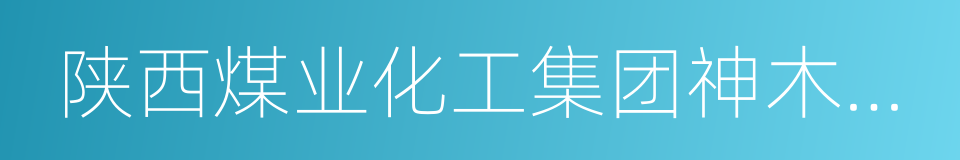 陕西煤业化工集团神木天元化工有限公司的同义词