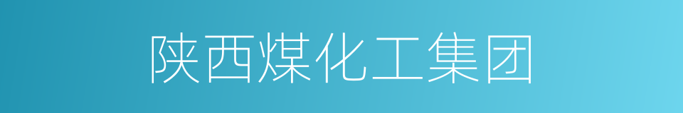 陕西煤化工集团的同义词