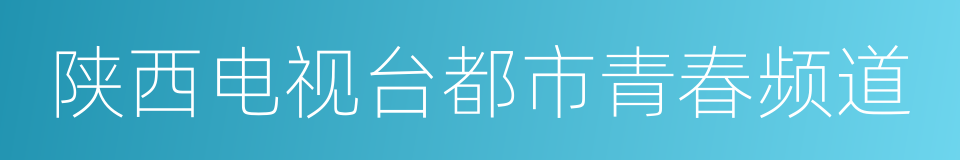 陕西电视台都市青春频道的同义词