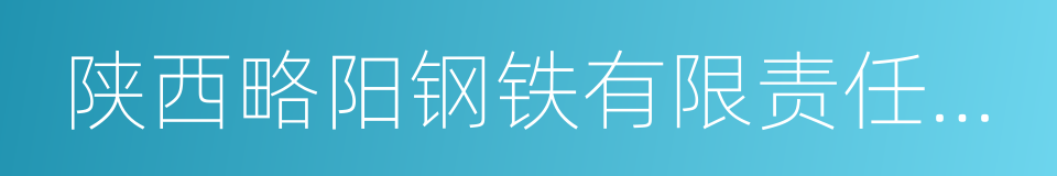 陕西略阳钢铁有限责任公司的同义词