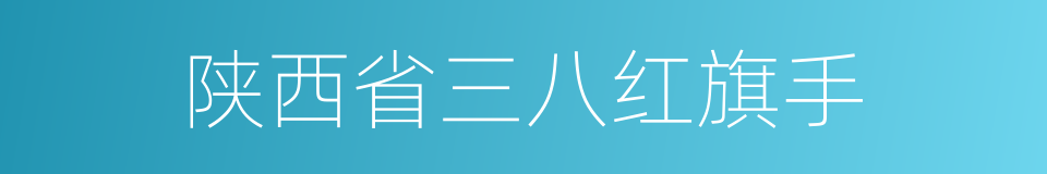 陕西省三八红旗手的同义词