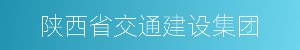 陕西省交通建设集团的同义词