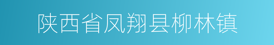 陕西省凤翔县柳林镇的同义词