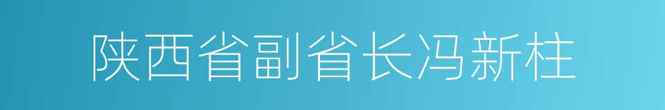 陕西省副省长冯新柱的同义词