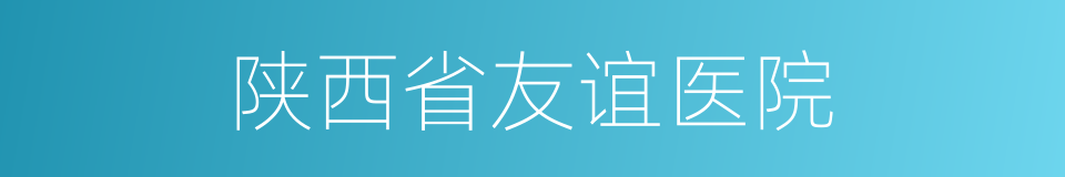 陕西省友谊医院的同义词