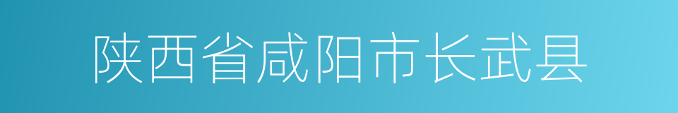 陕西省咸阳市长武县的同义词