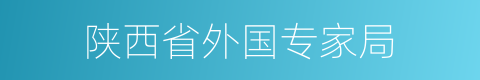 陕西省外国专家局的同义词