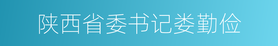 陕西省委书记娄勤俭的同义词