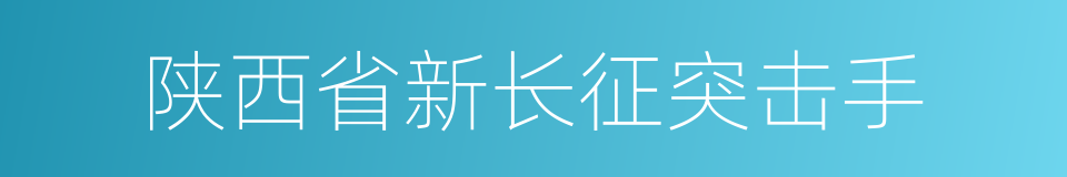 陕西省新长征突击手的同义词