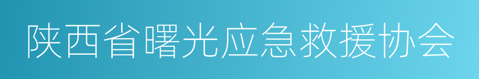 陕西省曙光应急救援协会的同义词