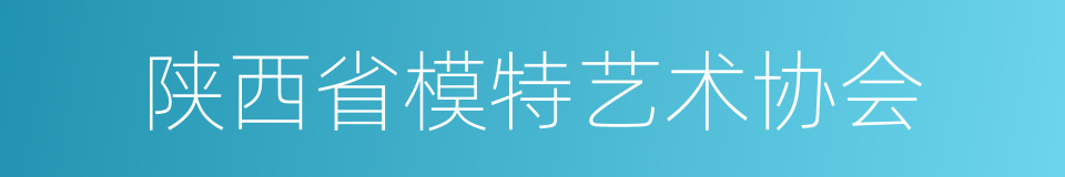 陕西省模特艺术协会的同义词