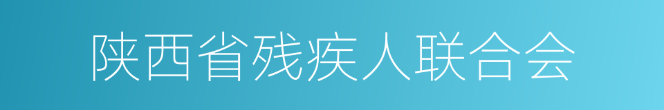 陕西省残疾人联合会的同义词