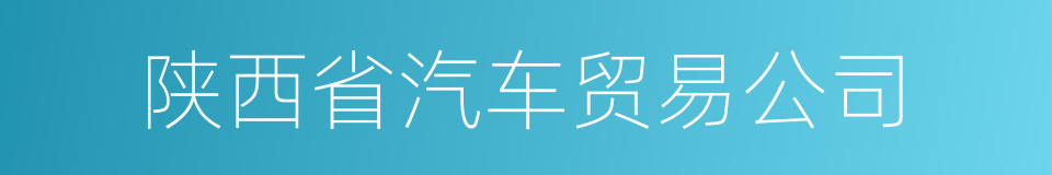 陕西省汽车贸易公司的同义词