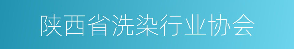 陕西省洗染行业协会的同义词