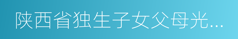 陕西省独生子女父母光荣证申请表的同义词