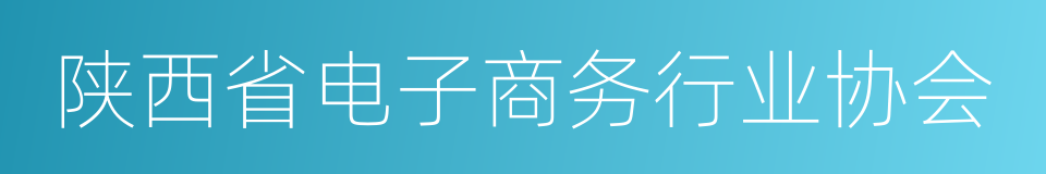 陕西省电子商务行业协会的同义词