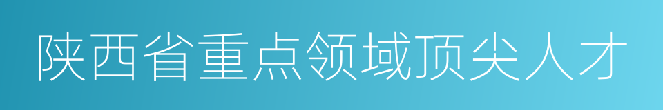 陕西省重点领域顶尖人才的同义词