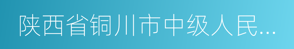 陕西省铜川市中级人民法院的同义词