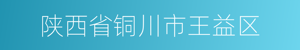 陕西省铜川市王益区的同义词