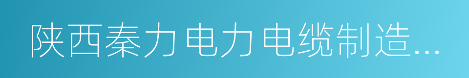 陕西秦力电力电缆制造有限公司的同义词