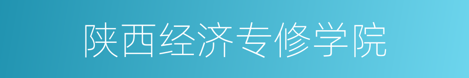 陕西经济专修学院的同义词